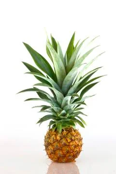 Pineapple Stock Photos