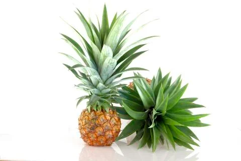 Pineapple Stock Photos