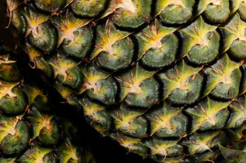 Pineapple Stock Photos