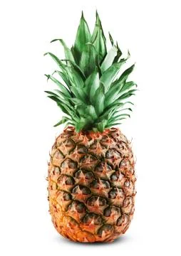 Pineapple Stock Photos