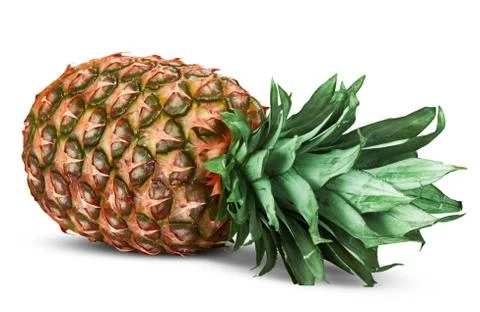 Pineapple Stock Photos