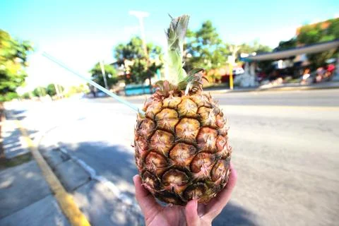 Pineapple 스톡 사진