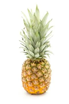 Pineapple 스톡 사진
