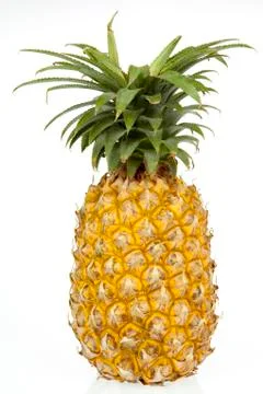 Pineapple Stock Photos
