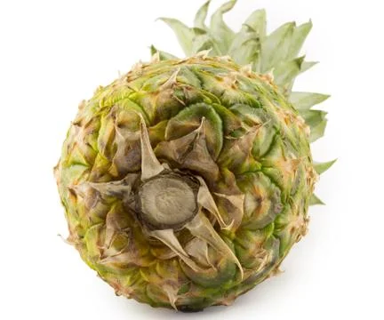 Pineapple Stock Photos