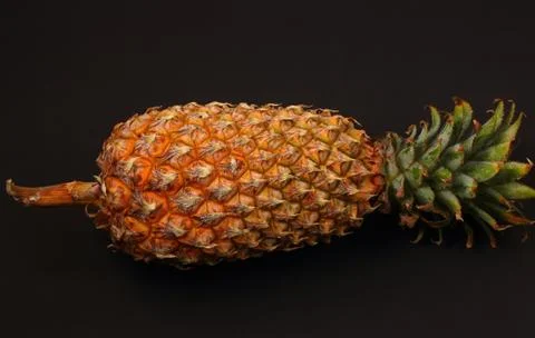 Pineapple Stock Photos