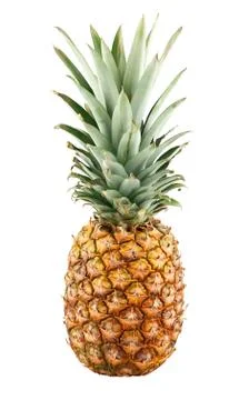 Pineapple Stock Photos