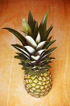 Pineapple Stock Photos