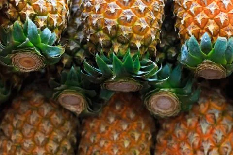 Pineapple Stock Photos