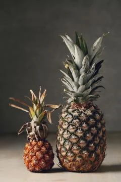 Pineapple Stock Photos