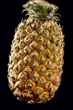 Pineapple Foto stock