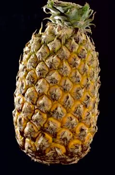 Pineapple Stock Photos