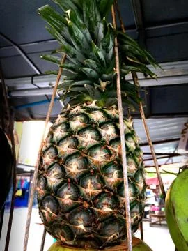 A Pineapple Stock Photos