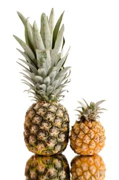 Pineapple Foto stock