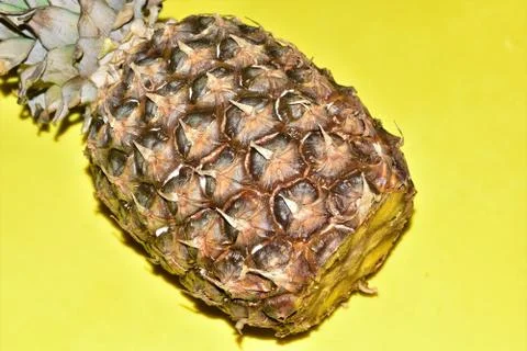 Pineapple Stock Photos