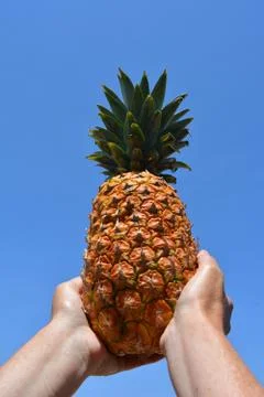 Pineapple Stock Photos