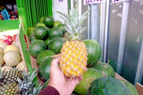 The Pineapple, Stock Photos