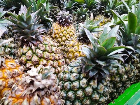 Pineapple Stock Photos