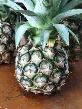 Pineapple Stock Photos