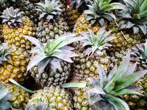 Pineapple Stock Photos