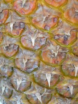 Pineapple Stock Photos