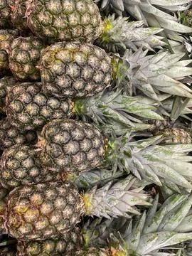 Pineapple Stock Photos