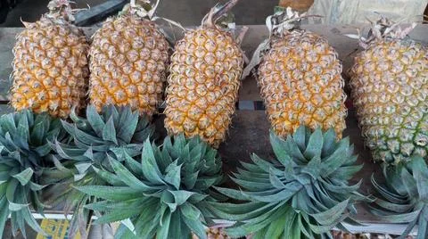 Pineapple Stock Photos