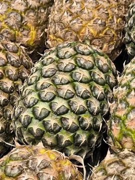 Pineapple Stock Photos