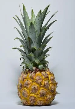 Pineapple Stock Photos