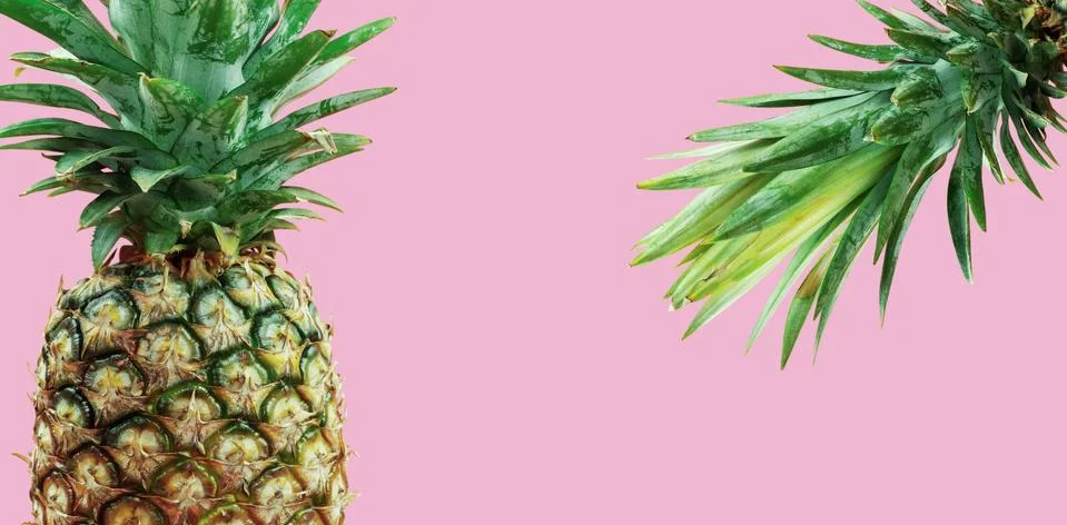 Pineapple on pink background. Stock Photos