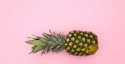 Pineapple on  pink background Stock Photos