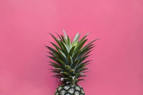 Pineapple with pink background 写真素材