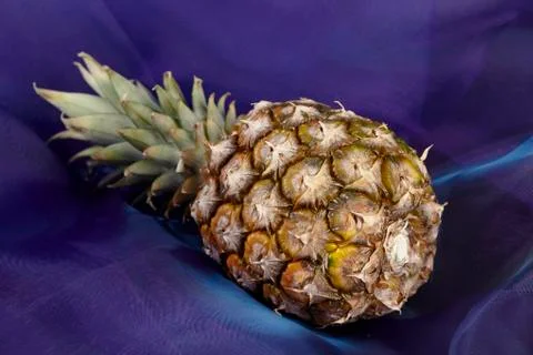 Pineapple - popart Foto stock