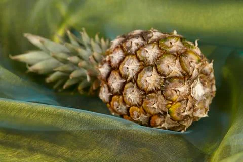 Pineapple - popart Stock Photos
