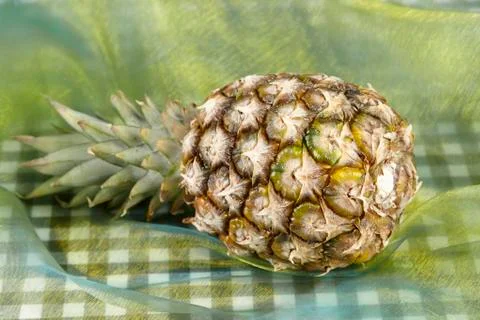 Pineapple - popart Stock Photos