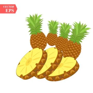Pineapple realistic fruit with slice. Vector illustration. ananas ripe tropic Stock Illustration