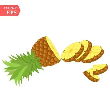 Pineapple realistic fruit with slice. Vector illustration. ananas ripe tropic Stock Illustration