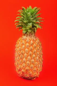 Pineapple on a red background Stock Photos
