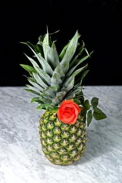 Pineapple with red roses on a marble table, fruits, tropical flowers Stock Photos