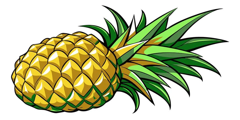 Pineapple. Ripe pineapple on a white background. Vector illustration 스톡 일러스트