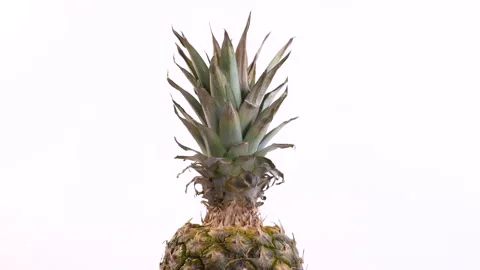 Pineapple Rotates On A White Background 스톡 동영상 130455425