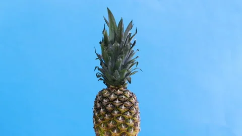 Pineapple rotating on blue theme Video stock 141604874
