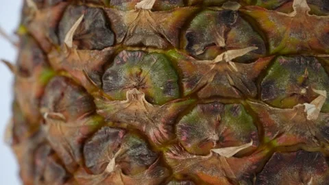 Pineapple rotation on white background 動画素材 237430267