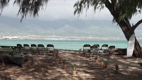 Pineapple runway for wedding event on beach in Kanaha, Maui, Hawaii. Stock Footage 134847876