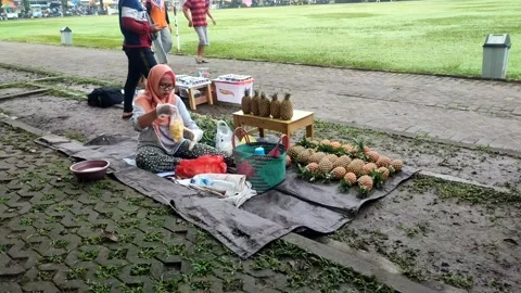 Pineapple seller Stock Footage 232984972