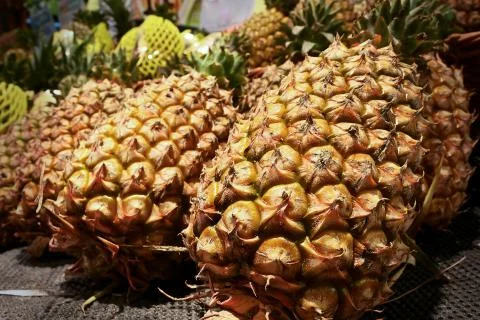 Pineapple on shelf Stock Photos