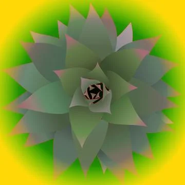 Pineapple Shoot Stock Illustration