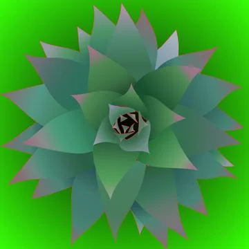 Pineapple Shoot Stock Illustration