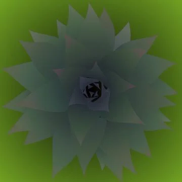 Pineapple Shoot Stock Illustration