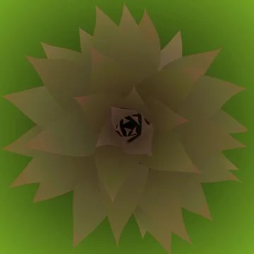 Pineapple Shoot Stock Illustration